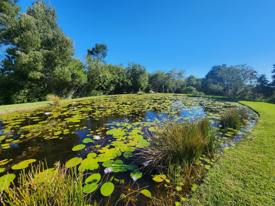 Commercial Property for Sale in Wilderness Heights Western Cape